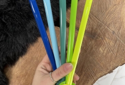 Azul ou Verde